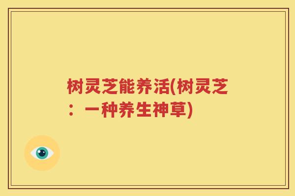 树灵芝能养活(树灵芝：一种养生神草)