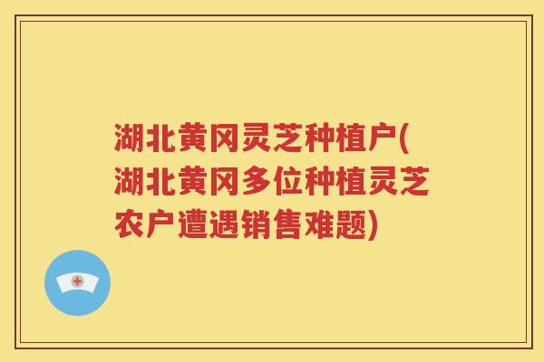 湖北黄冈灵芝种植户(湖北黄冈多位种植灵芝农户遭遇销售难题)
