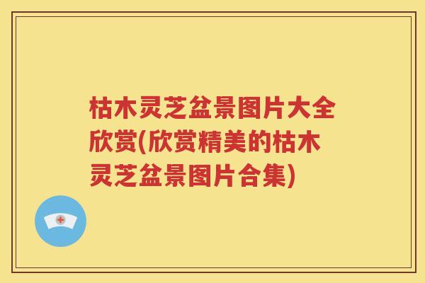 枯木灵芝盆景图片大全欣赏(欣赏精美的枯木灵芝盆景图片合集)