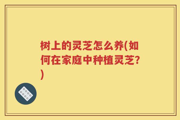 树上的灵芝怎么养(如何在家庭中种植灵芝？)