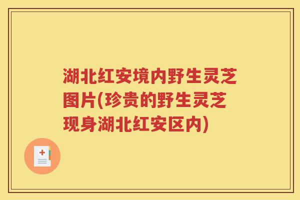 湖北红安境内野生灵芝图片(珍贵的野生灵芝现身湖北红安区内)
