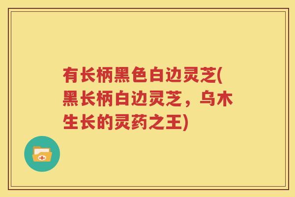 有长柄黑色白边灵芝(黑长柄白边灵芝，乌木生长的灵药之王)
