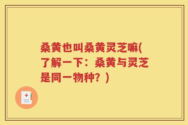 桑黄也叫桑黄灵芝嘛(了解一下：桑黄与灵芝是同一物种？)