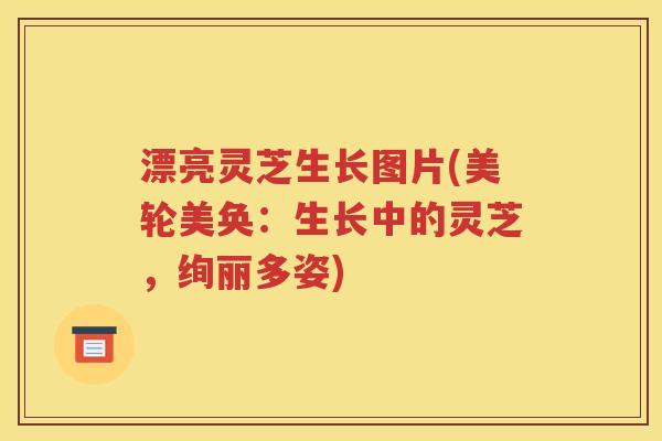 漂亮灵芝生长图片(美轮美奂：生长中的灵芝，绚丽多姿)
