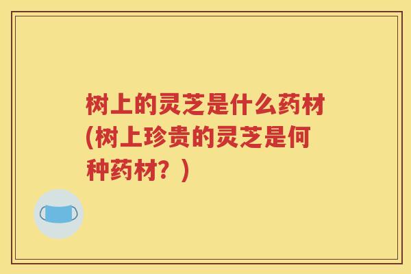 树上的灵芝是什么药材(树上珍贵的灵芝是何种药材？)