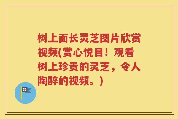 树上面长灵芝图片欣赏视频(赏心悦目！观看树上珍贵的灵芝，令人陶醉的视频。)