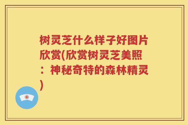 树灵芝什么样子好图片欣赏(欣赏树灵芝美照：神秘奇特的森林精灵)