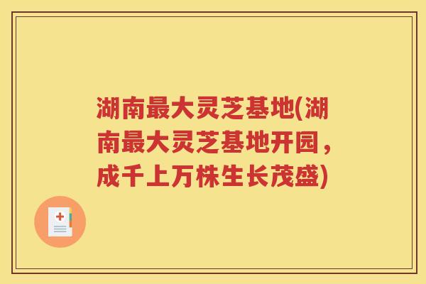 湖南最大灵芝基地(湖南最大灵芝基地开园，成千上万株生长茂盛)