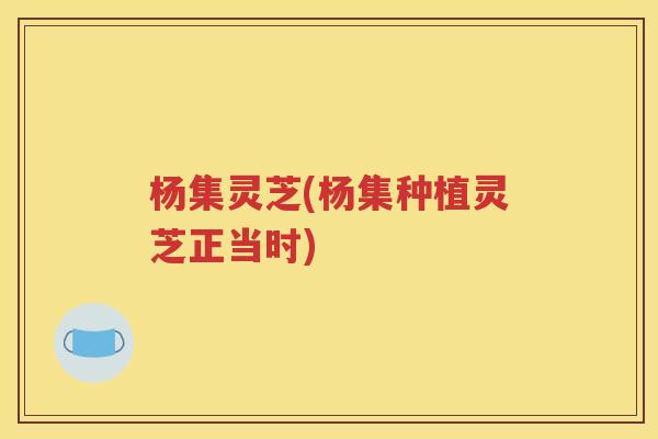 杨集灵芝(杨集种植灵芝正当时)