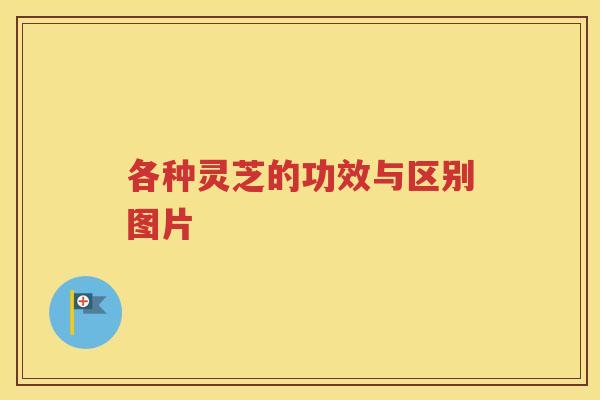 各种灵芝的功效与区别图片