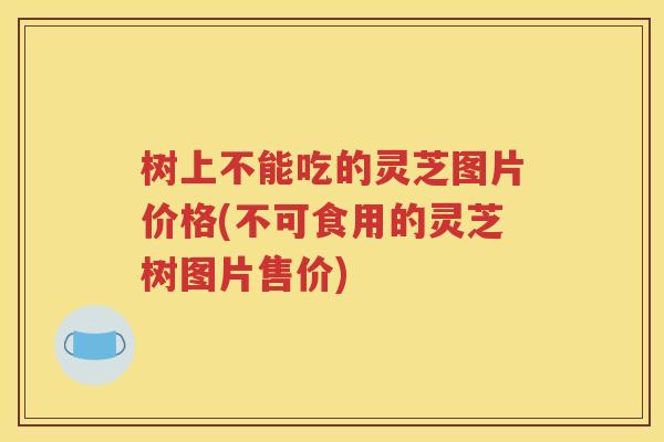 树上不能吃的灵芝图片价格(不可食用的灵芝树图片售价)