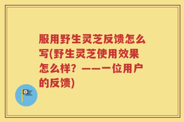 服用野生灵芝反馈怎么写(野生灵芝使用效果怎么样？——一位用户的反馈)