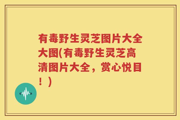 有毒野生灵芝图片大全大图(有毒野生灵芝高清图片大全，赏心悦目！)