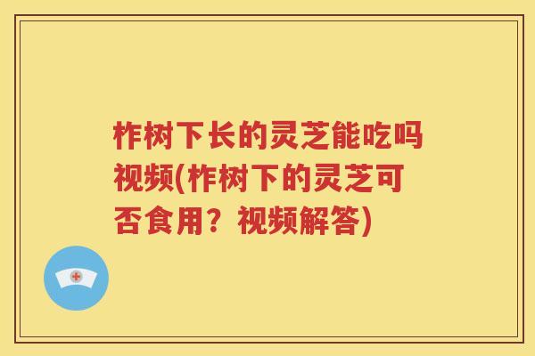 柞树下长的灵芝能吃吗视频(柞树下的灵芝可否食用？视频解答)