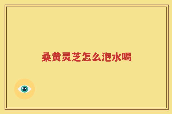 桑黄灵芝怎么泡水喝