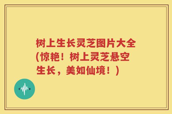 树上生长灵芝图片大全(惊艳！树上灵芝悬空生长，美如仙境！)