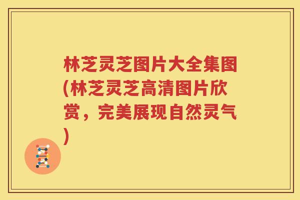 林芝灵芝图片大全集图(林芝灵芝高清图片欣赏，完美展现自然灵气)