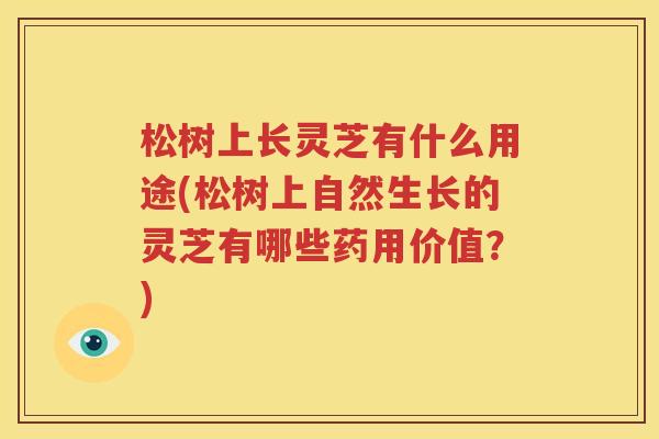 松树上长灵芝有什么用途(松树上自然生长的灵芝有哪些药用价值？)