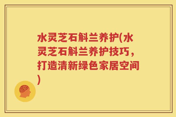 水灵芝石斛兰养护(水灵芝石斛兰养护技巧，打造清新绿色家居空间)