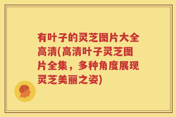 有叶子的灵芝图片大全高清(高清叶子灵芝图片全集，多种角度展现灵芝美丽之姿)