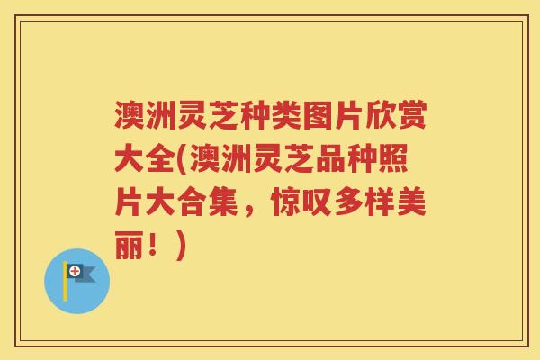 澳洲灵芝种类图片欣赏大全(澳洲灵芝品种照片大合集，惊叹多样美丽！)
