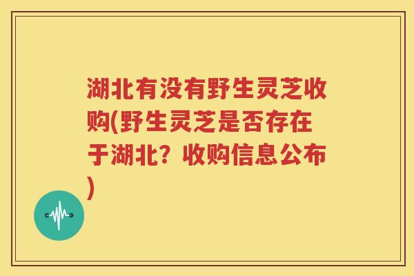 湖北有没有野生灵芝收购(野生灵芝是否存在于湖北？收购信息公布)