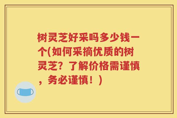 树灵芝好采吗多少钱一个(如何采摘优质的树灵芝？了解价格需谨慎，务必谨慎！)