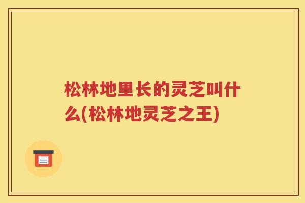 松林地里长的灵芝叫什么(松林地灵芝之王)