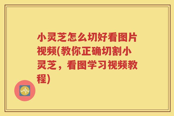 小灵芝怎么切好看图片视频(教你正确切割小灵芝，看图学习视频教程)