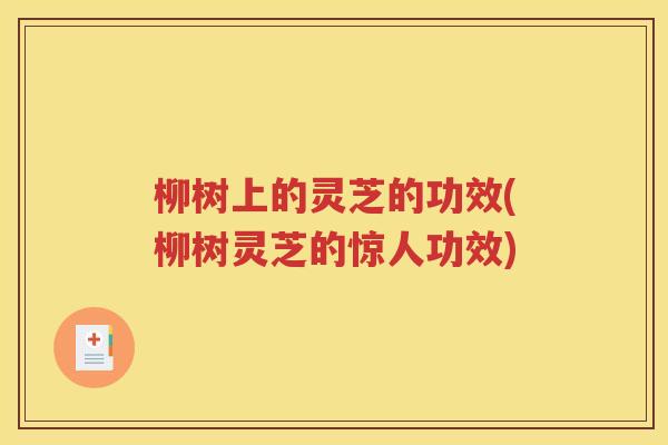 柳树上的灵芝的功效(柳树灵芝的惊人功效)