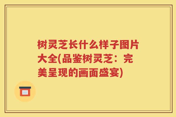 树灵芝长什么样子图片大全(品鉴树灵芝：完美呈现的画面盛宴)