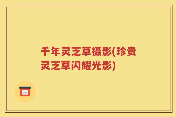 千年灵芝草摄影(珍贵灵芝草闪耀光影)