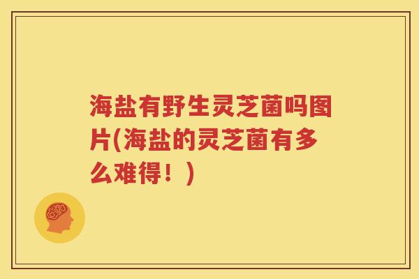 海盐有野生灵芝菌吗图片(海盐的灵芝菌有多么难得！)