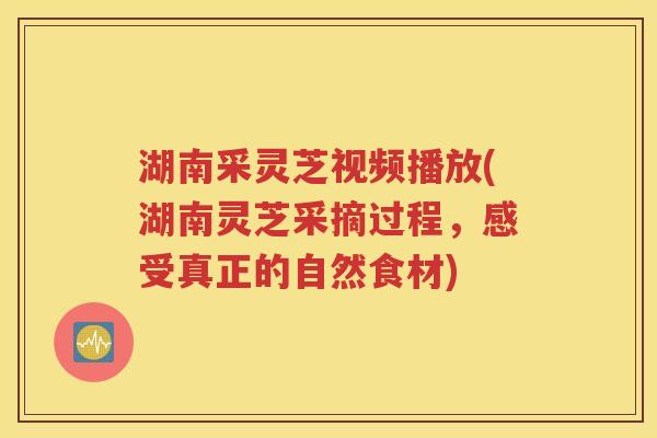 湖南采灵芝视频播放(湖南灵芝采摘过程，感受真正的自然食材)
