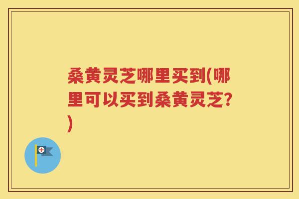 桑黄灵芝哪里买到(哪里可以买到桑黄灵芝？)