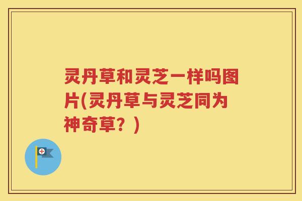 灵丹草和灵芝一样吗图片(灵丹草与灵芝同为神奇草？)