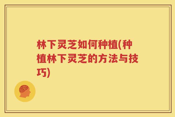 林下灵芝如何种植(种植林下灵芝的方法与技巧)