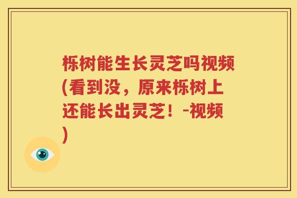 栎树能生长灵芝吗视频(看到没，原来栎树上还能长出灵芝！-视频)