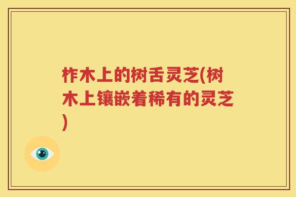 柞木上的树舌灵芝(树木上镶嵌着稀有的灵芝)