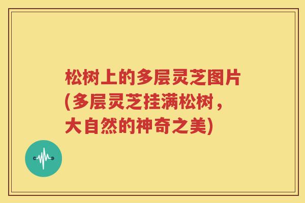 松树上的多层灵芝图片(多层灵芝挂满松树，大自然的神奇之美)