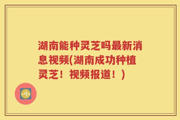 湖南能种灵芝吗最新消息视频(湖南成功种植灵芝！视频报道！)