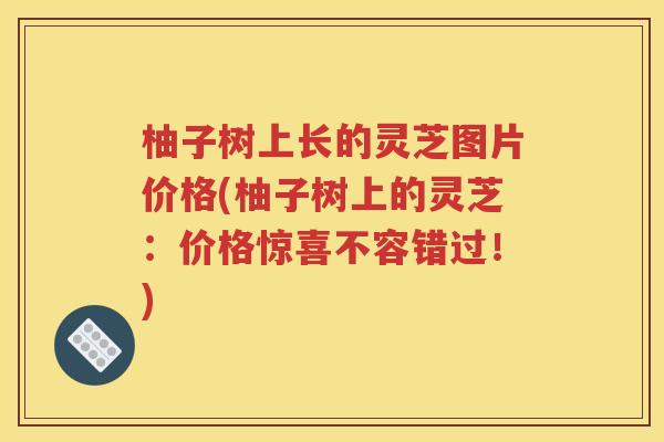 柚子树上长的灵芝图片价格(柚子树上的灵芝：价格惊喜不容错过！)