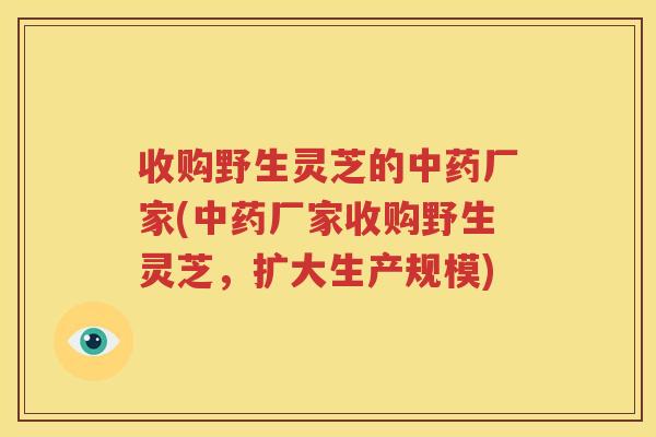 收购野生灵芝的中药厂家(中药厂家收购野生灵芝，扩大生产规模)
