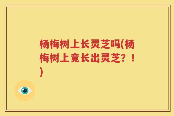 杨梅树上长灵芝吗(杨梅树上竟长出灵芝？！)