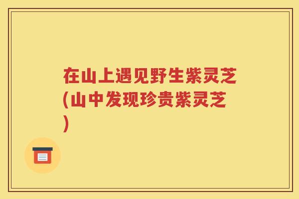 在山上遇见野生紫灵芝(山中发现珍贵紫灵芝)
