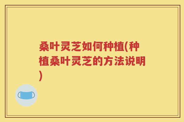 桑叶灵芝如何种植(种植桑叶灵芝的方法说明)