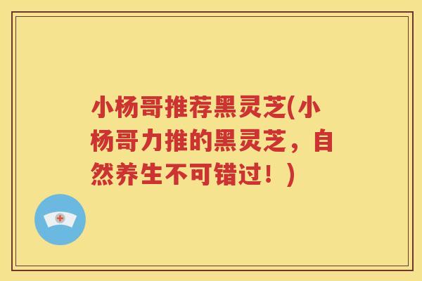 小杨哥推荐黑灵芝(小杨哥力推的黑灵芝，自然养生不可错过！)