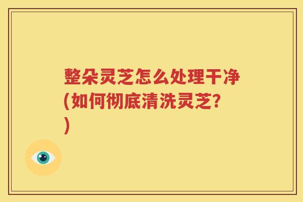 整朵灵芝怎么处理干净(如何彻底清洗灵芝？)
