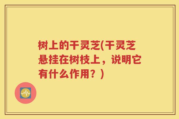 树上的干灵芝(干灵芝悬挂在树枝上，说明它有什么作用？)