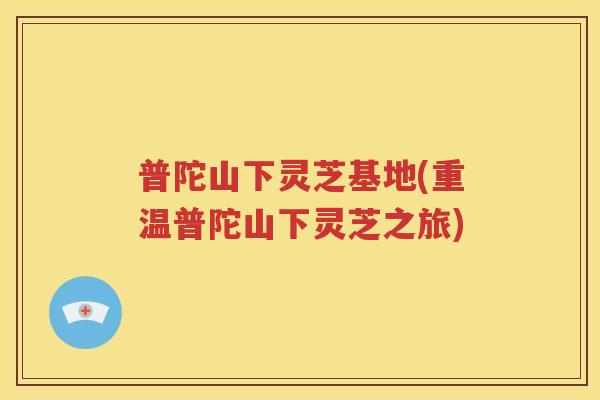 普陀山下灵芝基地(重温普陀山下灵芝之旅)